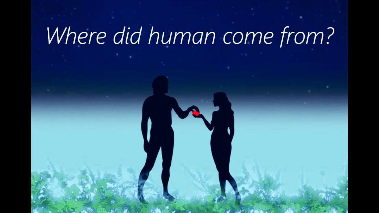 Are humans made of stardust? Where does Stardust come from