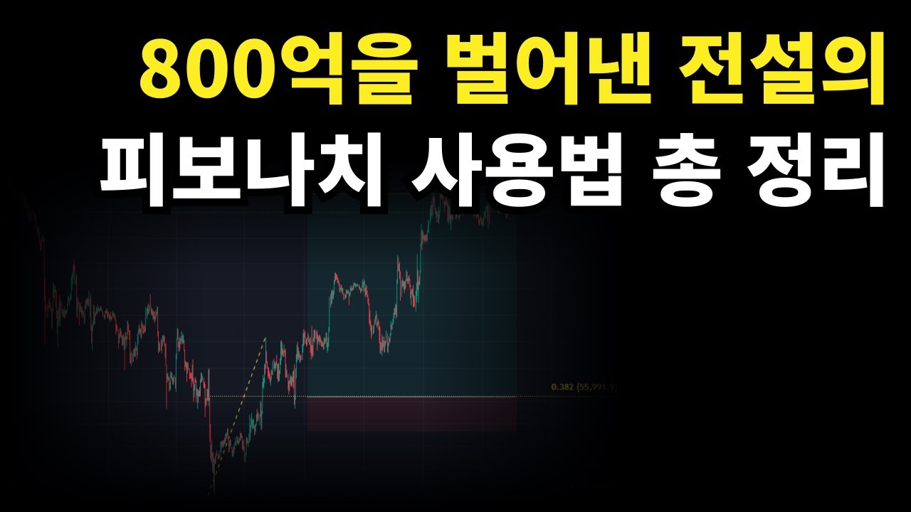 [ 비트코인 ] 미국의 800억 워뇨띠가 쓰는 피보나치
