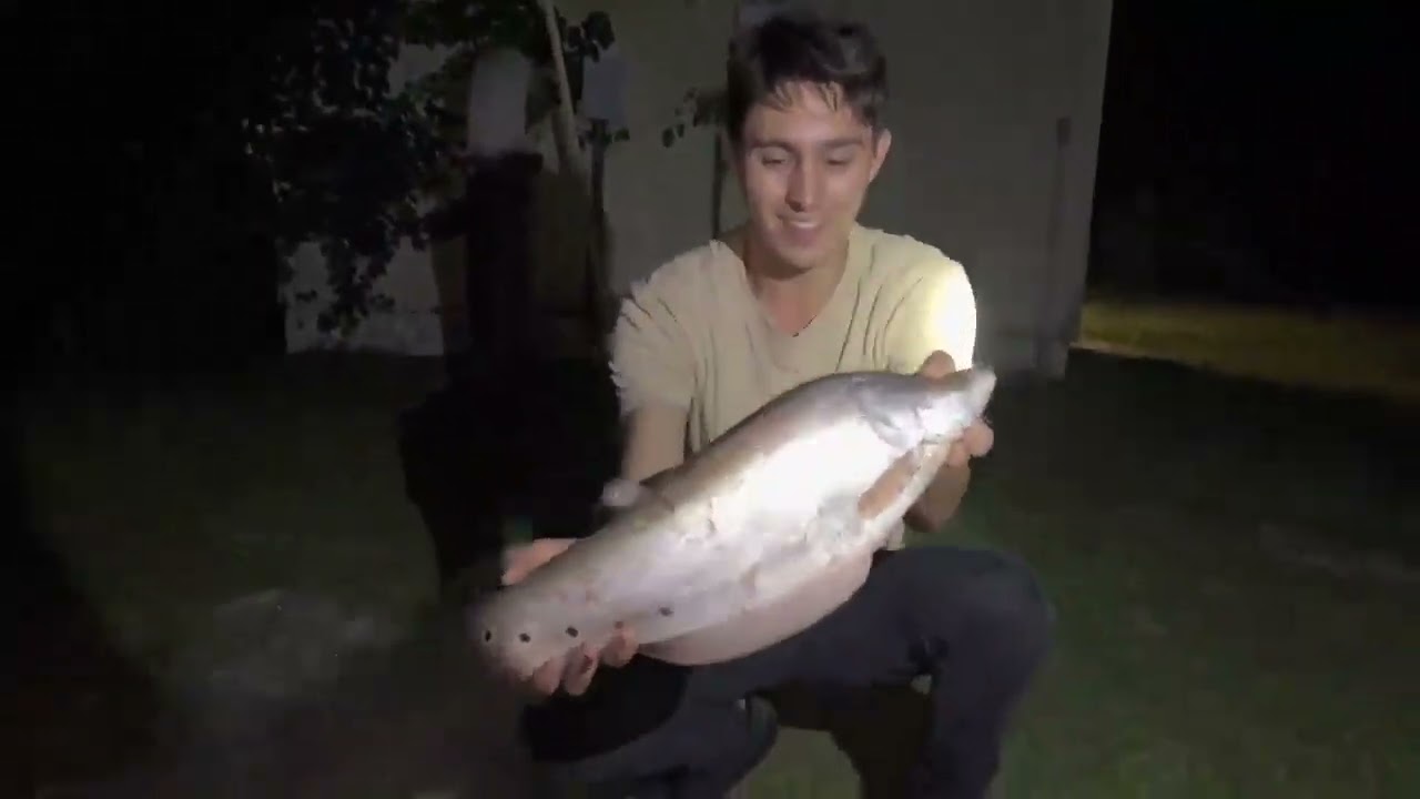 BASS FISHING PRODUCTION NET TRAP CATCHES RARE KNIFE FISH AT NIGHT!!!
