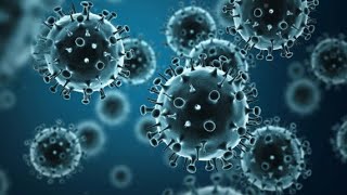 Flu activity high in Pennsylvania: Doctor discusses who's most at risk, how to reduce spread