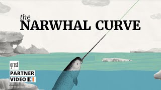 How quickly do we need to ramp up renewables? Look to the narwhal