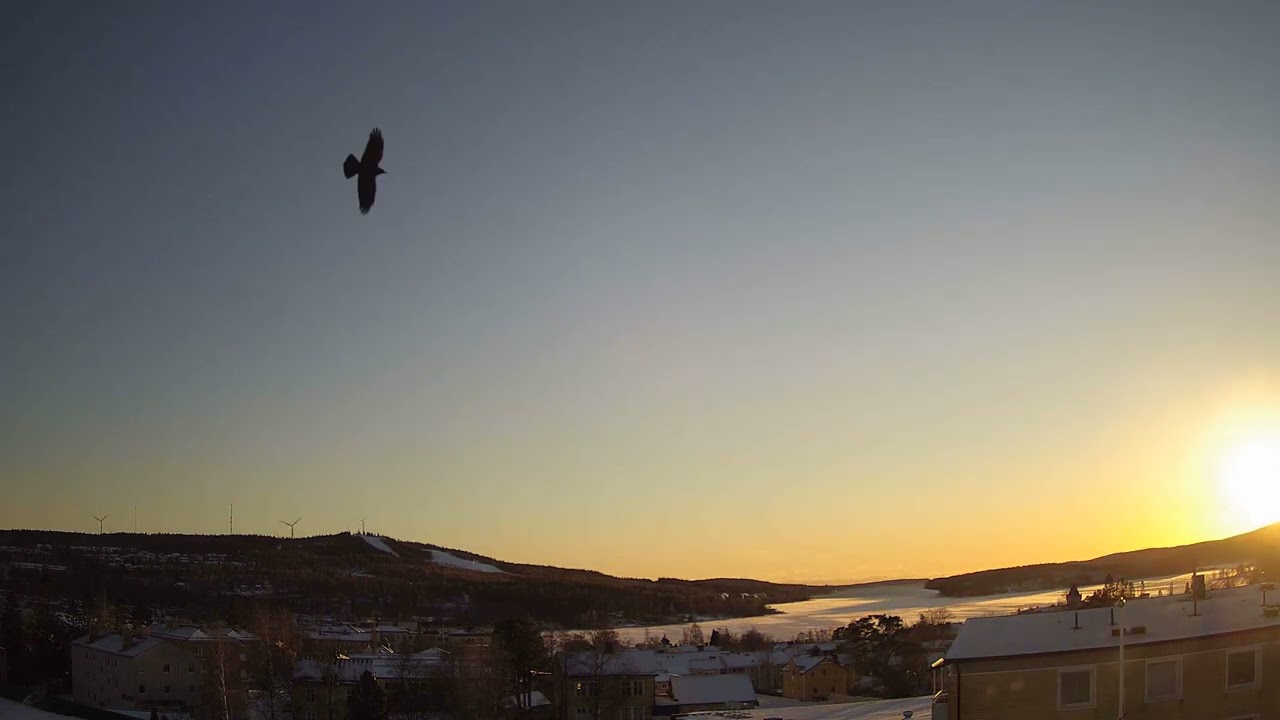 Ett år på taket i Härnösand (2021-12-13 till 2022-12-13)