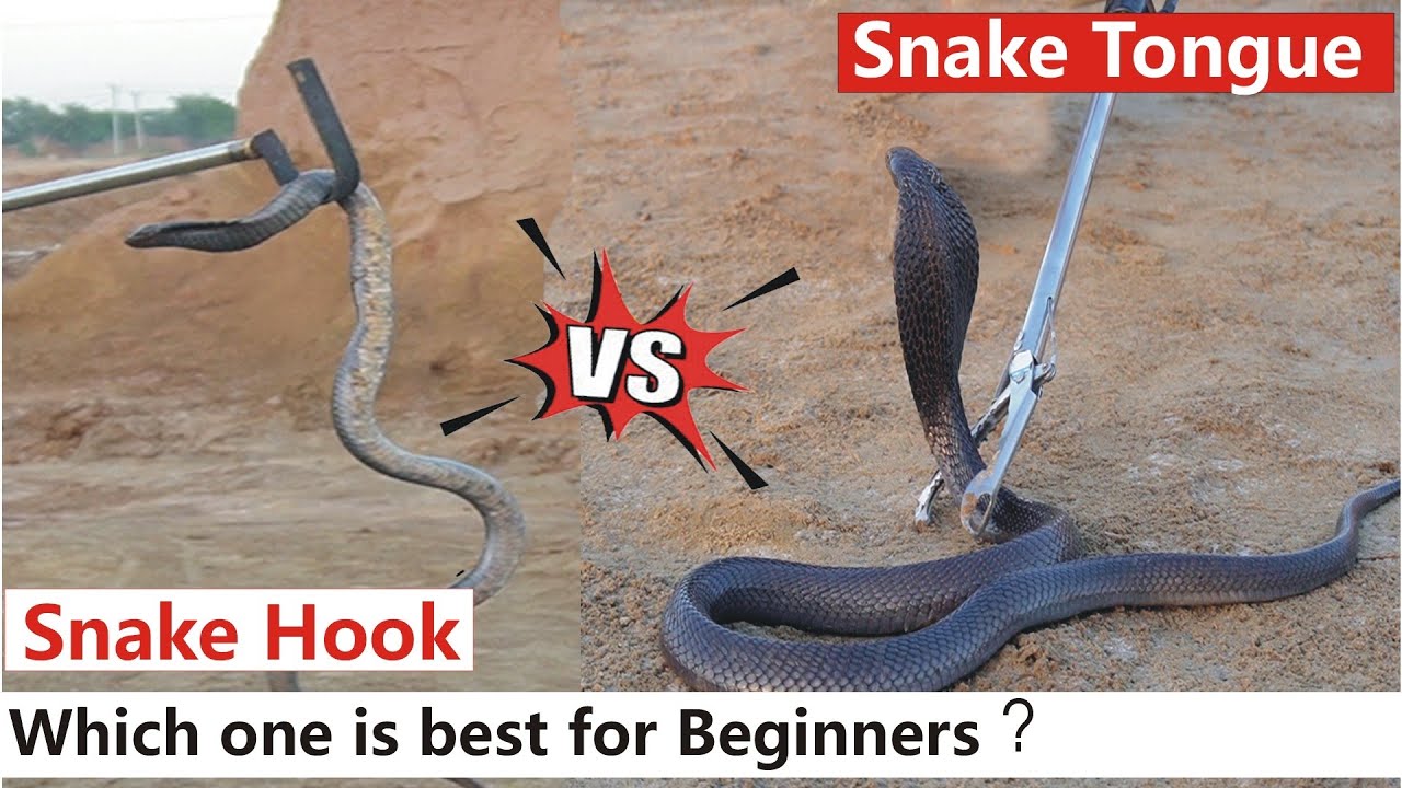 Snake Handling Tool | Snake Tongue Vs Snake Hook| Which tool is Best for Beginners