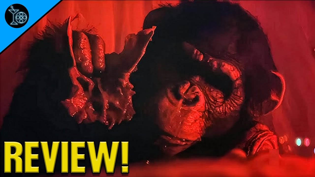 funny monkey movie (PRIMATE MOVIE REVIEW)