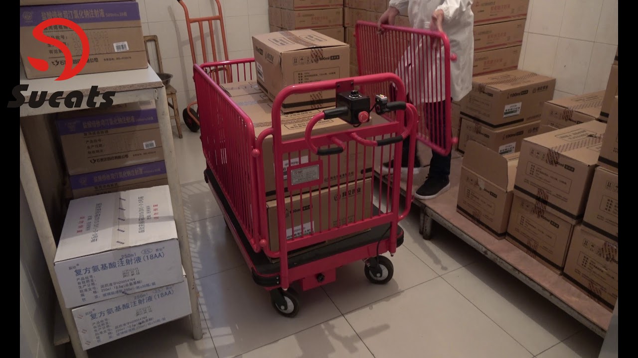 electric platform truck