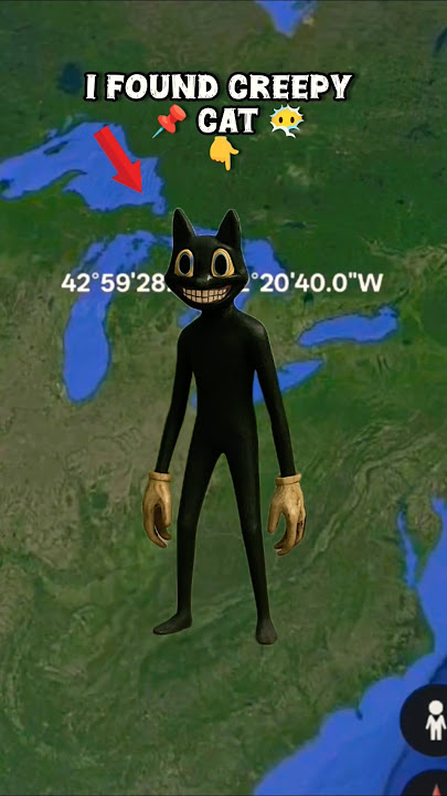 📌I Found Creepy Cartoon Cat #googleapps #googleearth #uniqueofworld07