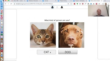 Social multiplayer experiments with Testable Arena