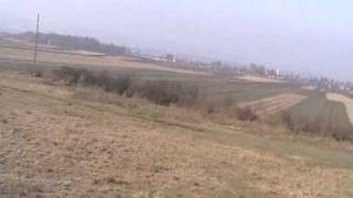 Kortvelyfaja,Masodik Repulesem