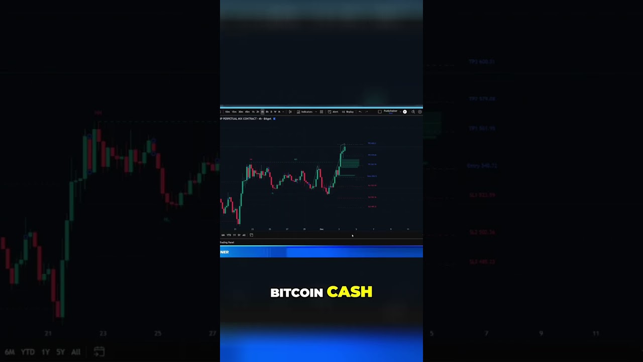 Bitcoin Cash: Divergencia Bajista y Análisis Técnico #shorts - YouTube