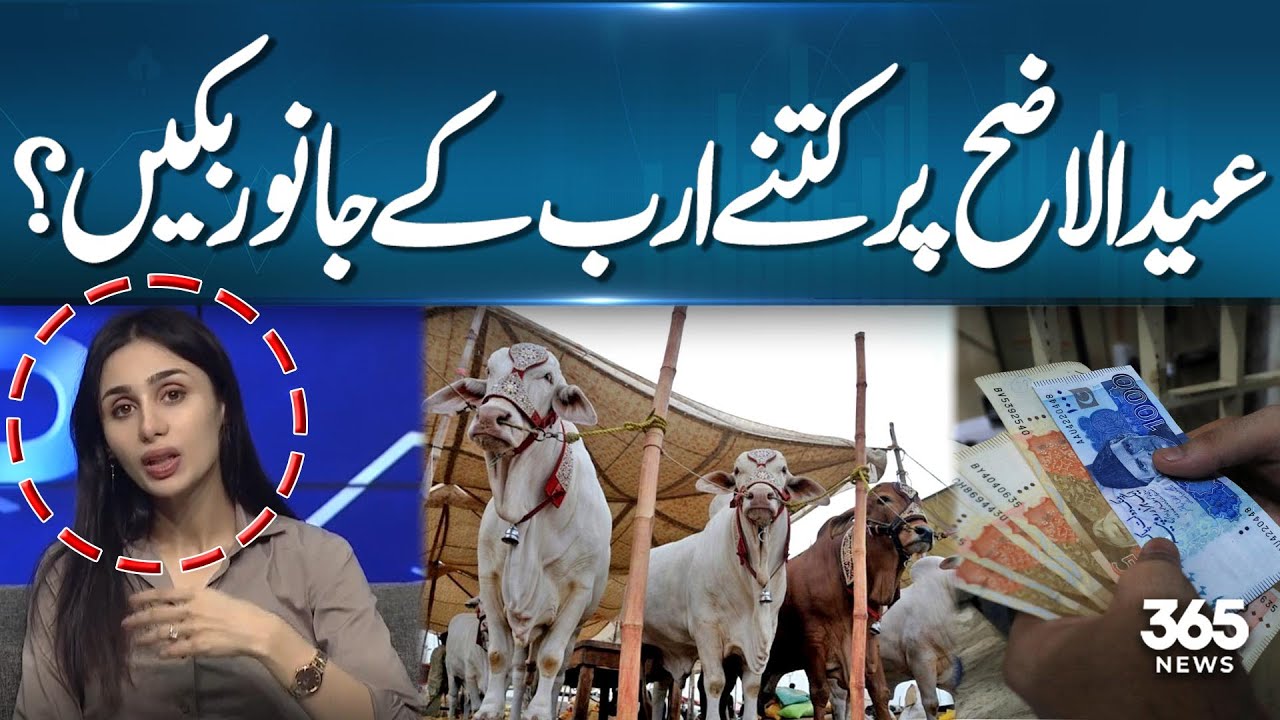 The livestock trade impact during Eid ul Adha season | 365 Business
