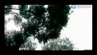 Navroz Sobirov - Kalbimda Bir Soz Bor Наврўз Собиров - Калбимда Бир Сўз Бор