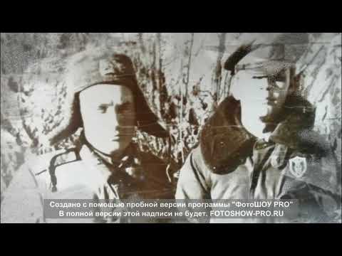 талды курган