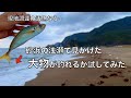 現地調達アジの泳がせ釣りなら、どんなスレた魚も釣れるはず！と思って試してみた結果‥