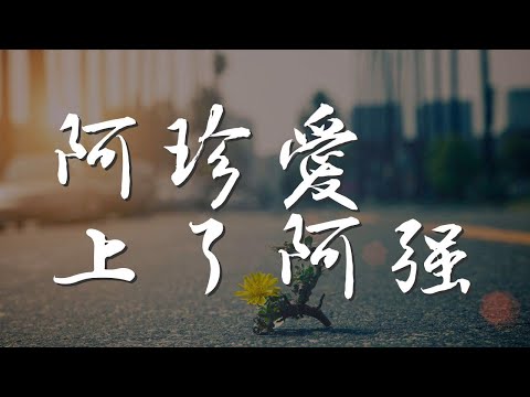 阿珍愛上了阿強 - 五條人『阿珍愛上了阿強 在一個有星星的夜晚』【動態歌詞Lyrics】