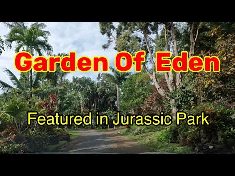 Video: Maui's Botanical Gardens Vis Hawaiis blomsterudbringer