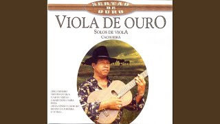 Pingo D'Água screenshot 1