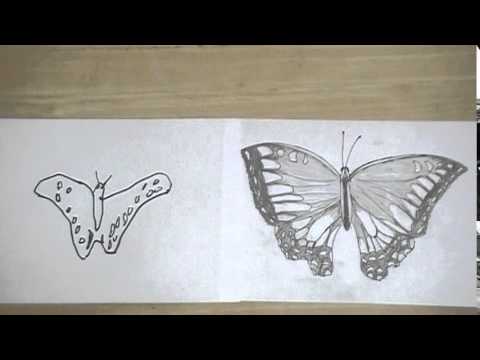 蝶の絵の書き方と方法とコツ Tips And Methods How To Write Picture Of Butterfly Youtube