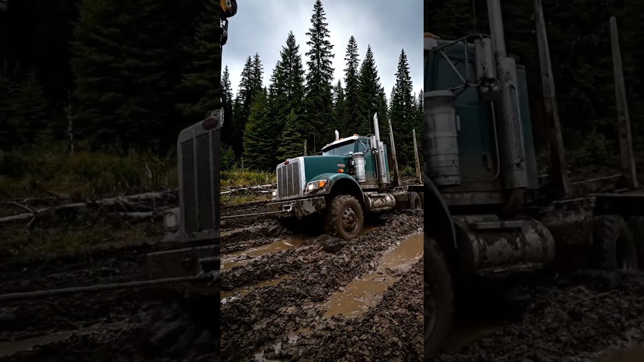 Extreme Mud Recovery! 🤯 