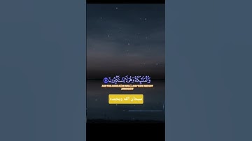 اجمل تلاوة خالد الجليل #تلاوة_خاشعة #قرآن #راحة_نفسية #اكسبلور #funny #متابعه #لايك