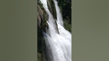 القارئ: سعيد دباح