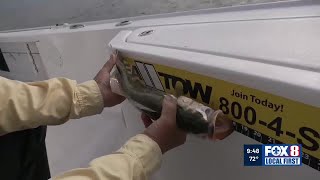 Big Fish Report: Fish in Lakes Pontchartrain and Borgne