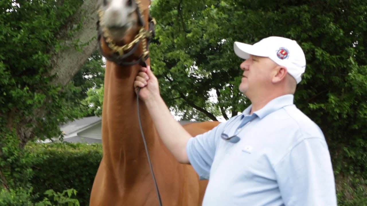 The July Sale 2014: Rosalind