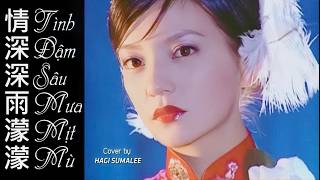 Nhạc Hoa Lời Việt | Tình Sâu Đậm, Mưa Mịt Mù (情深深雨濛濛) | Tân Dòng Sông Ly Biệt MV | Hagi Aura