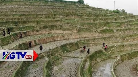 Lịch sử hình thành và phương thức canh tác ruộng bậc thang