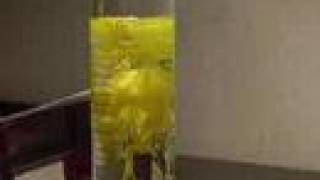reaction of LEAD NITRATE & POTASSIUM IODIDE solutions