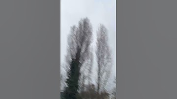 6S 1300mah 100C - 2207 1800KV Xing E- Power !!!