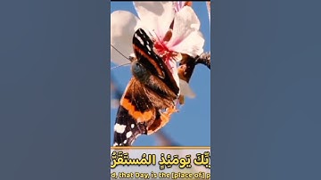 # سورة القيامة. تراويح رمضان ٢٠٢٥/١٤٤٦.