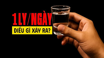 #1024 Mỗi Ngày Uống 1 Ly Bia/Rượu Sẽ Hại Cỡ Nào?