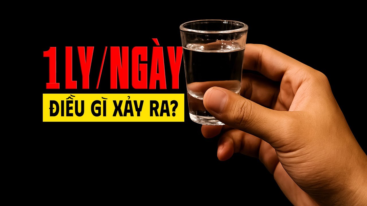#1024 Mỗi Ngày Uống 1 Ly Bia/Rượu Sẽ Hại Cỡ Nào?