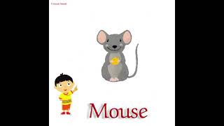 We can 5 unit 2 lesson 4 phonics الصف السادس الدرس الرابع من الوحده الثانيه
