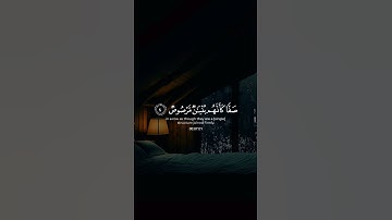 (إن الله يحب الذين يقاتلون في سبيله صفا) القارئ: سلمان العتيبي