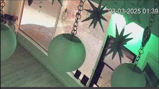 North Park business owners express concern about vandalism spree