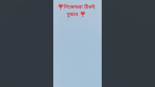 কবুতর ♥ ♥ ♥ || this Video ❣️|| pigeonstatus shortsfeed youtubeshorts youtuber shorts