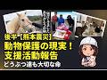 【後半】熊本県被災地レポート！動物保護の現実！支援活動の報告#巫女ねこ村　8月16日から再び熊本被災地に行きます！