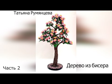 Видео: Kosmeya - цветя за всякакви градини