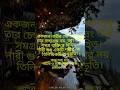 feel the nature's sound 😍 | প্রকৃতির অপরূপ সৌন্দর্য | 😲 #shorts #nature #ai #green #love