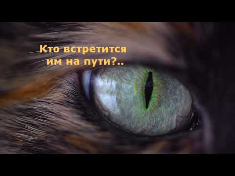 Буктрейлер "Разноцветные приключения Златовласкеи и Мыслика"