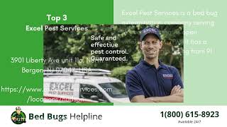 Top 3 Bed Bug Removal in Marco Island