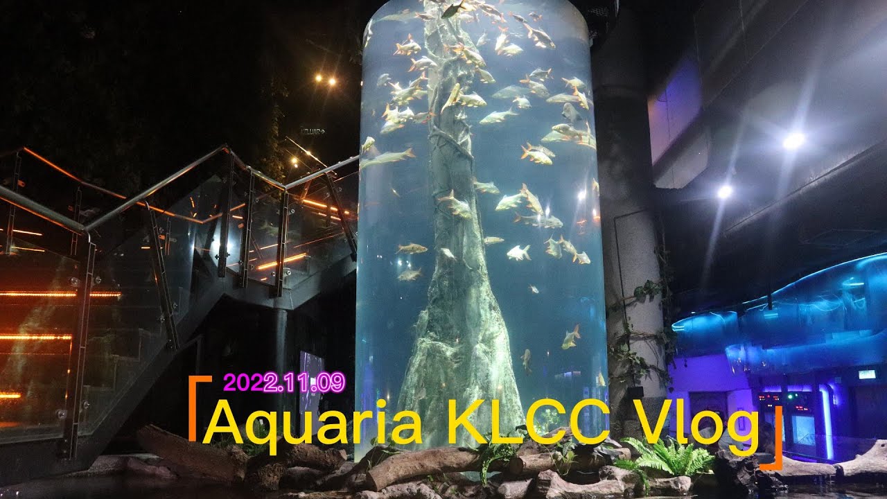 [Vlog] Walking in Aquaria KLCC walk around YouTube