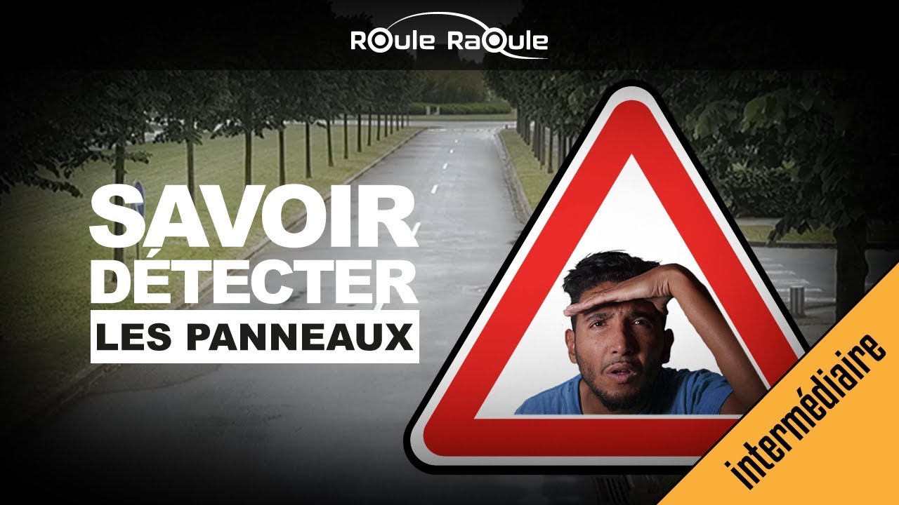 DETECTER PANNEAUX DE SIGNALISATION - 🚗💨PERMIS 2021
