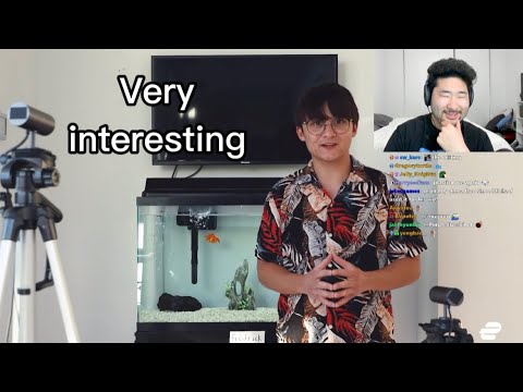 PeterPark reacts to Michael Reeves "I Gave My Goldfish $50,000 to Trade Stocks"