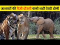 जानवरों की ऐसी बेहतरीन दोस्ती कभी नहीं देखी होगी | Best animal friendships in the world