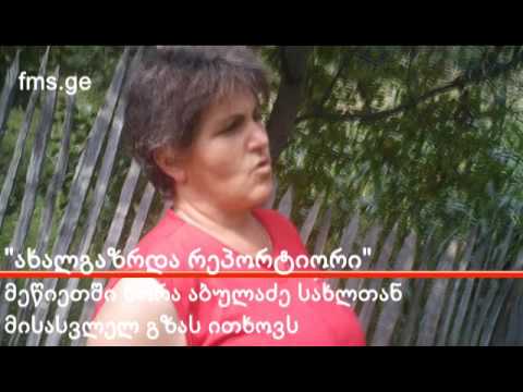 ახალგაზრდა რეპორტიორი – დავითაძეების პრობლემები