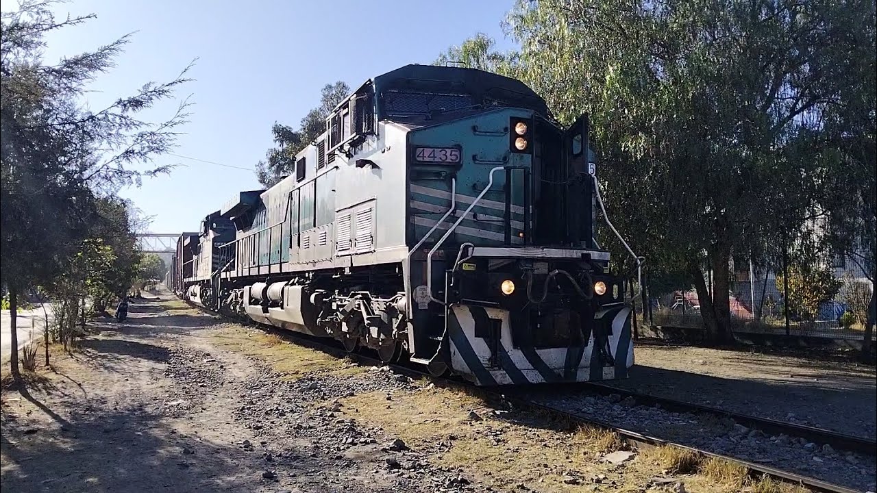 FSRR 4435-4419 últimos momentos con las ranas