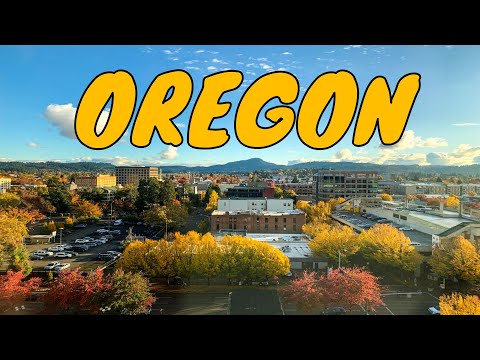 Video: Chi phí Tiếp liệu trên Đường mòn Oregon là bao nhiêu?