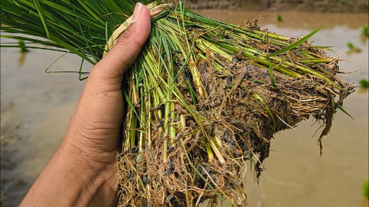 Respect the hands that feed you | 